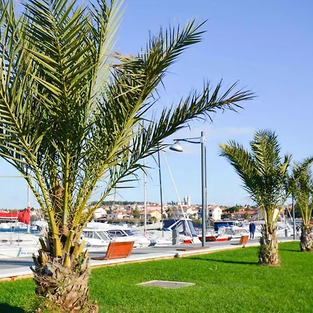 6 Apartament